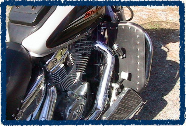 Honda spirit engine guard #7