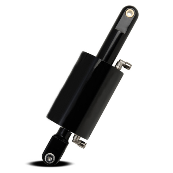 Platinum 1723-RST-ZX10 Black Air Ride Simple Suspension Kit for