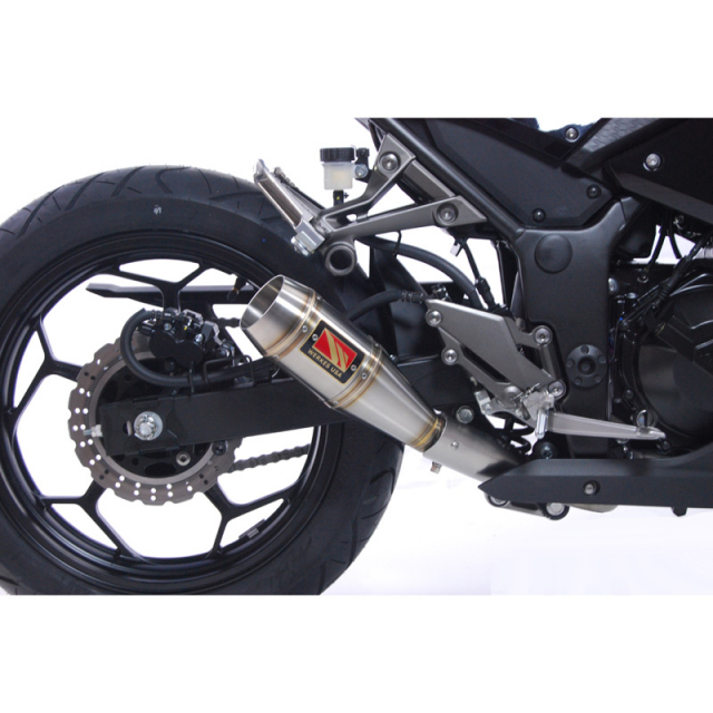 Competition Werkes WK300 GP Slip-on Exhaust for Kawasaki Ninja 300