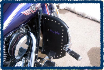 Sage Brush Engine Guard Chaps - Vulcan 800 with Cobra Bar