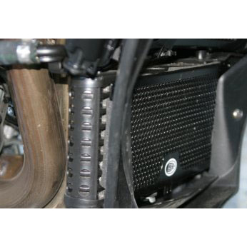 R&G Racing Kühlergitter Ölkühler Schutz BMW S 1000 R RR  HP4 Oil Cooler Guard