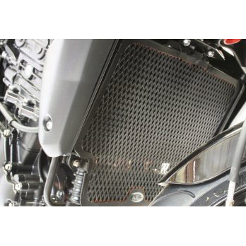 R&G RAD0098BK Radiator Guard for Triumph Speed Triple 2010